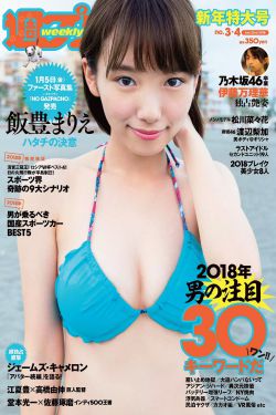 九星霸体诀小说