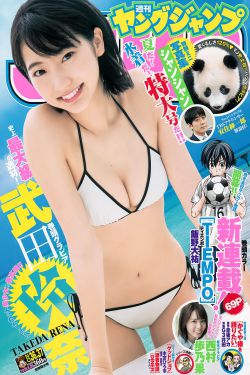 陆贞传奇剧情介绍全集